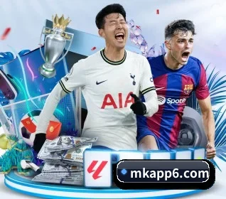 mk体育入口 APP